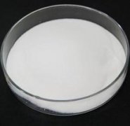 sodium stearyl fumarate(SSF)